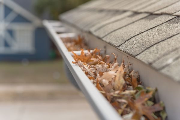 Leaf Barrier Installation in Easley